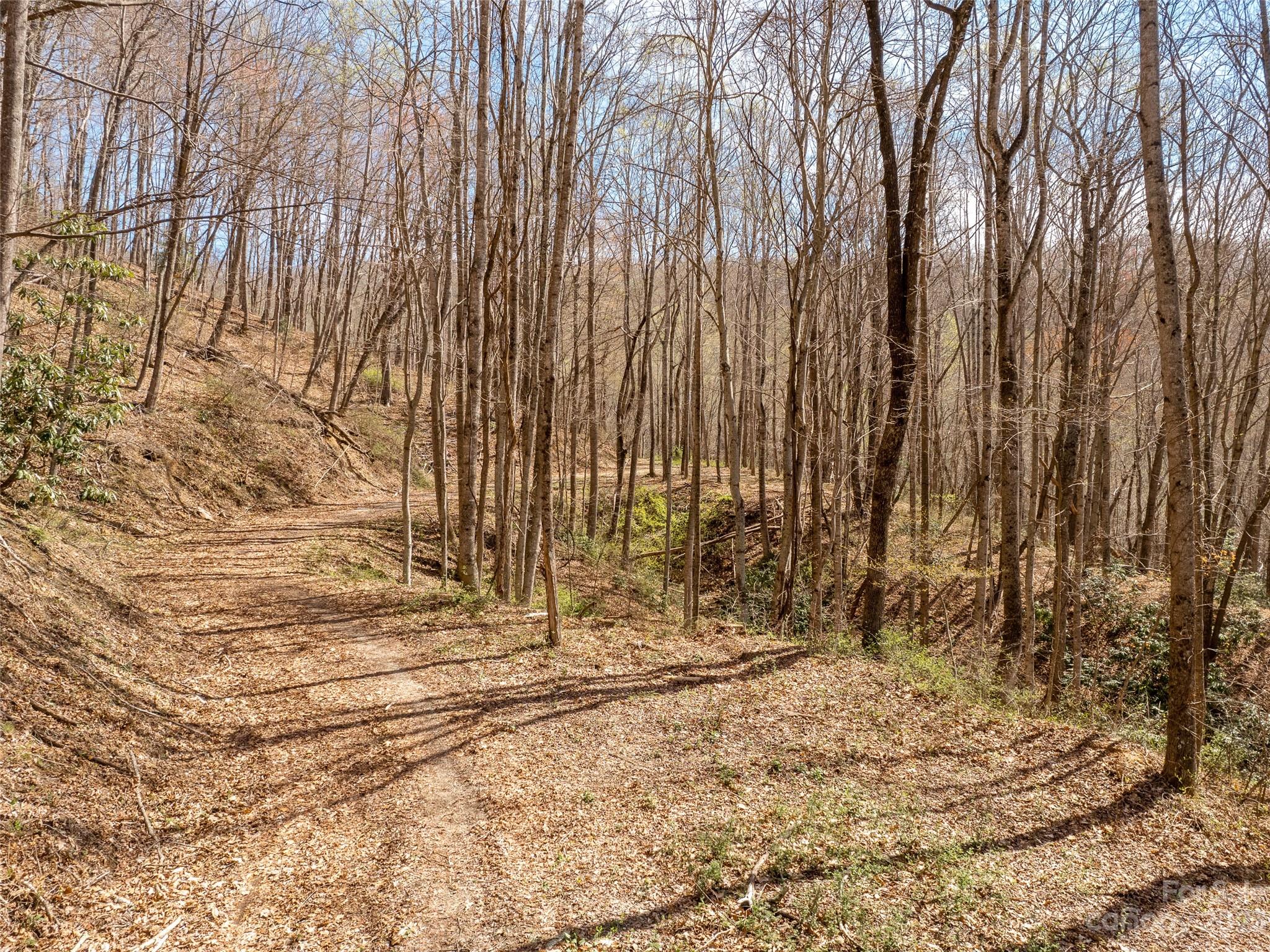 9999-6 Merrills Ridge Road, Unit 6 Asheville, NC 28803 - Photo 5 of 13 Gallery Image 5