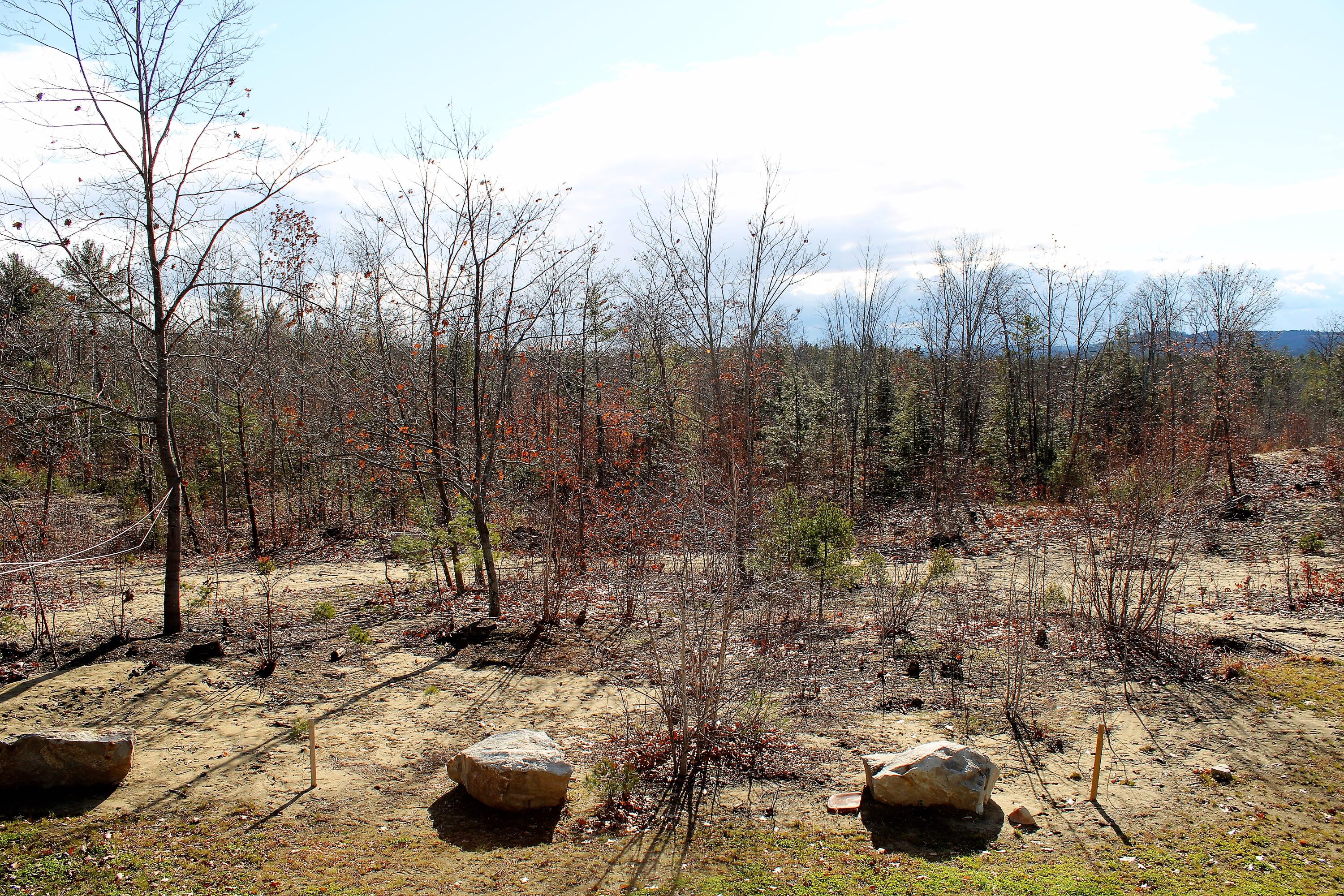 210 Strickland Ferry Road Wayne, ME 04284 - Photo 8 of 27 IMG_0768 (2)