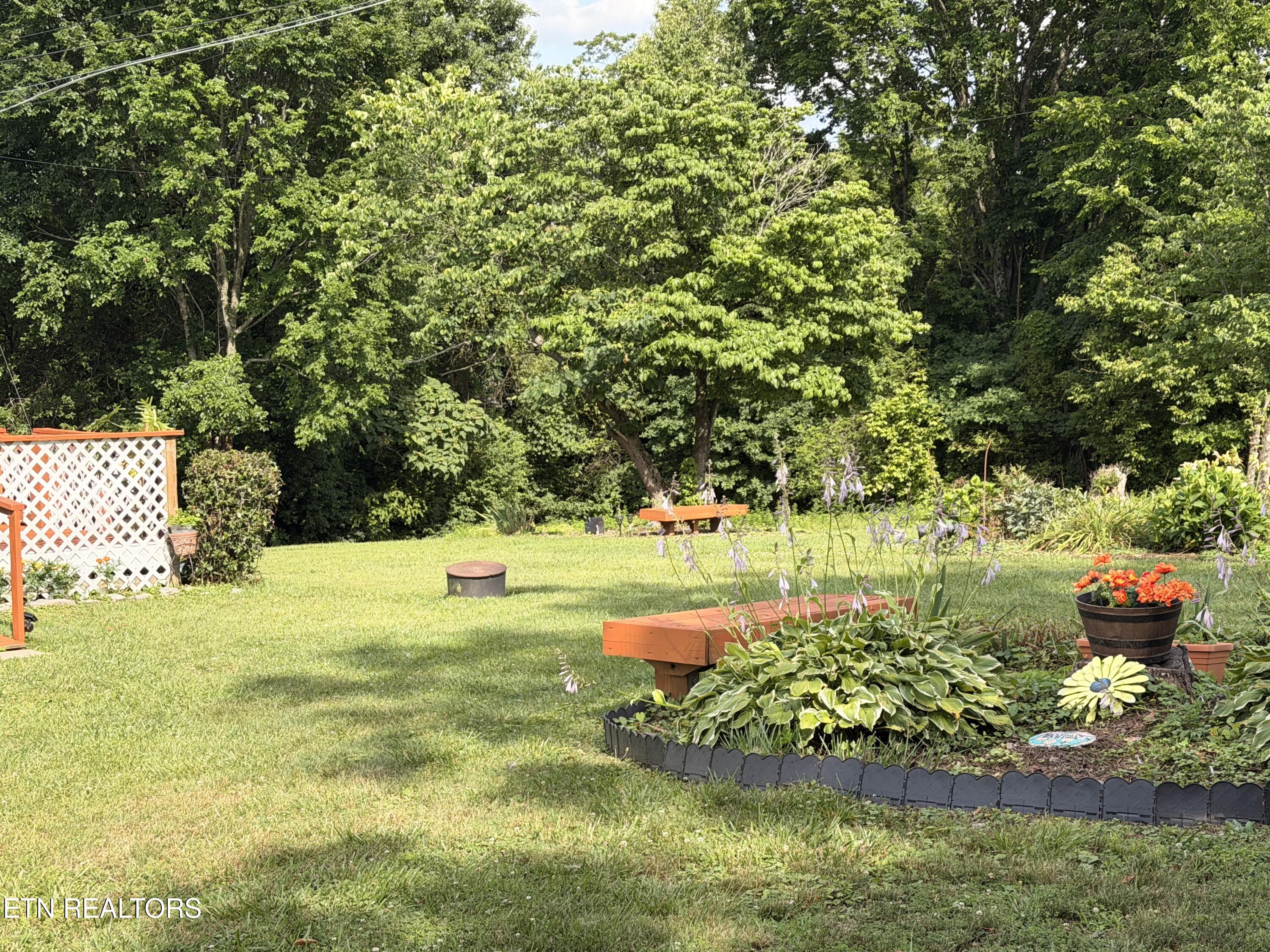590 Cave Springs Road Tazewell, TN 37879 - Photo 6 of 9 IMG_4615