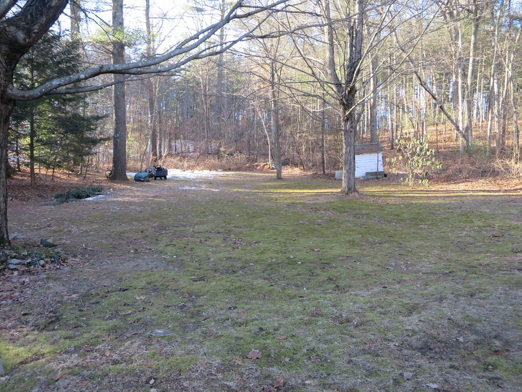 28 Craig Road Holland, MA 01521 - Photo 13 of 19 a view of road with large trees