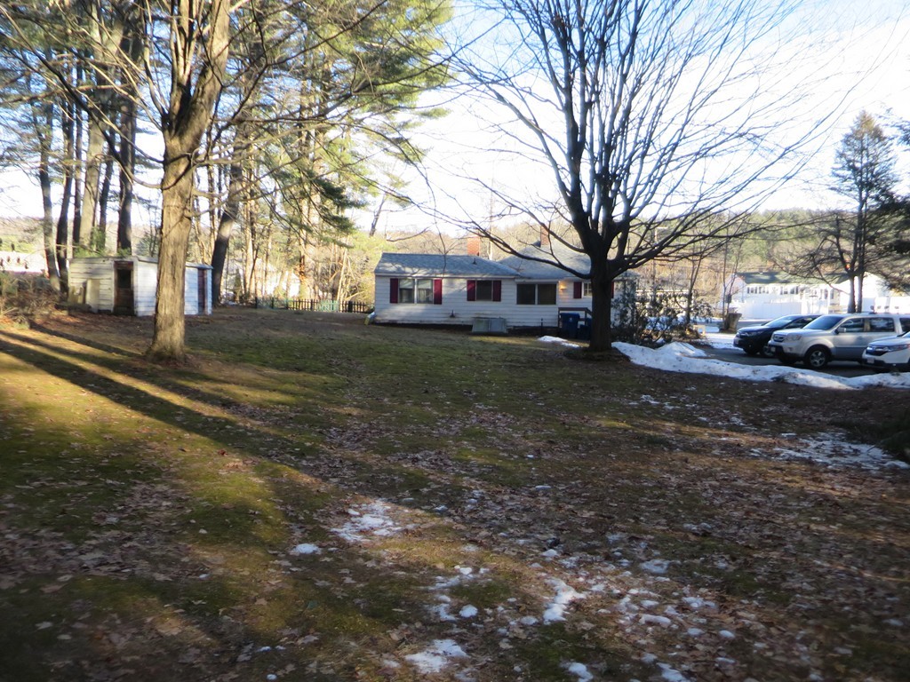 28 Craig Road Holland, MA 01521 - Photo 3 of 19 a view of a yard with a large tree