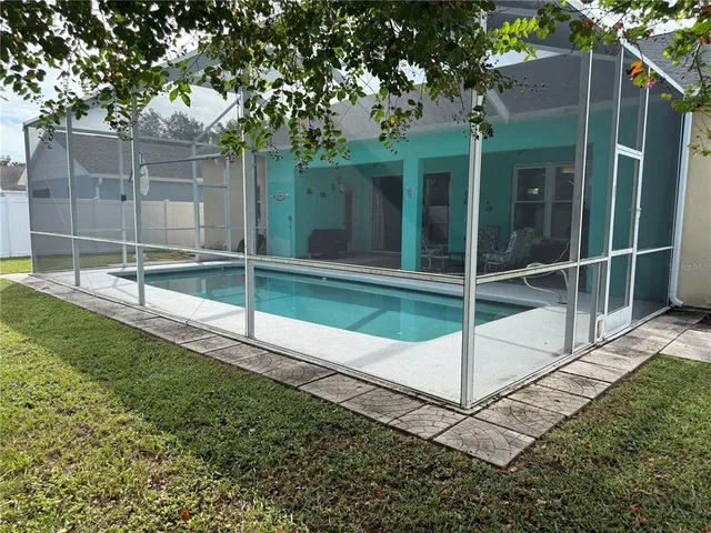 a small garden covered with tall trees