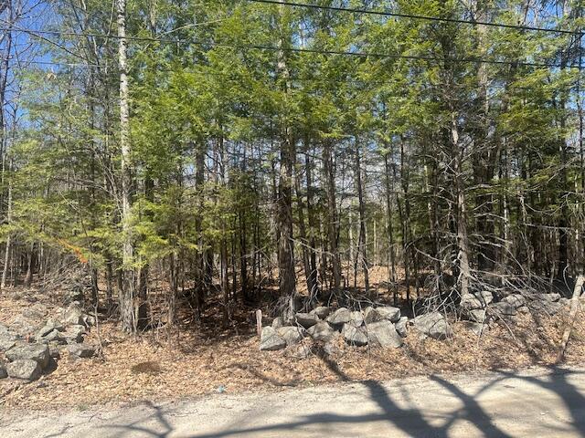 Tbd Whitney Road Bridgton, ME 04009 - Photo 2 of 4 IMG_2510 (002)