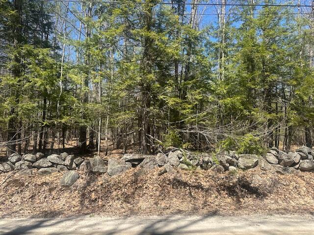 Tbd Whitney Road Bridgton, ME 04009 - Photo 3 of 4 IMG_2511 (002)