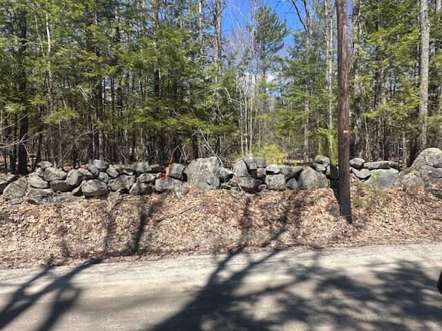 Tbd Whitney Road Bridgton, ME 04009 - Photo 4 of 4 IMG_2512 (002)
