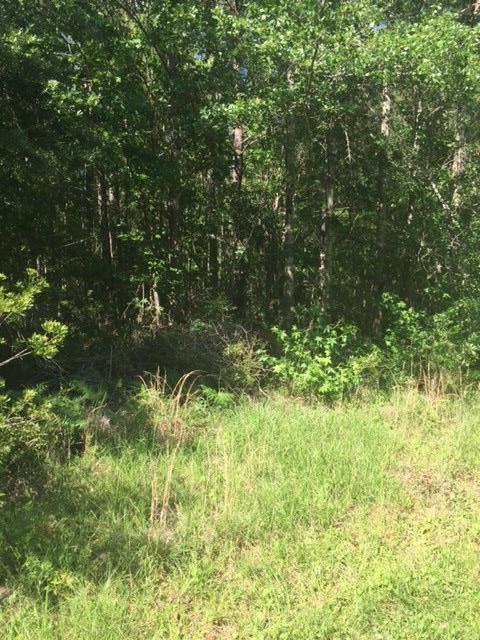 5735 Seewee Road Awendaw, SC 29429 - Photo 8 of 8 IMG_2896