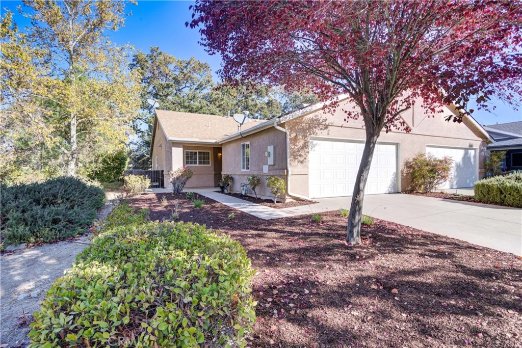 801 Turtle Creek Road Paso Robles, CA 93446 - Photo 1 of 1 Welcome to 801 Turtle Creek!