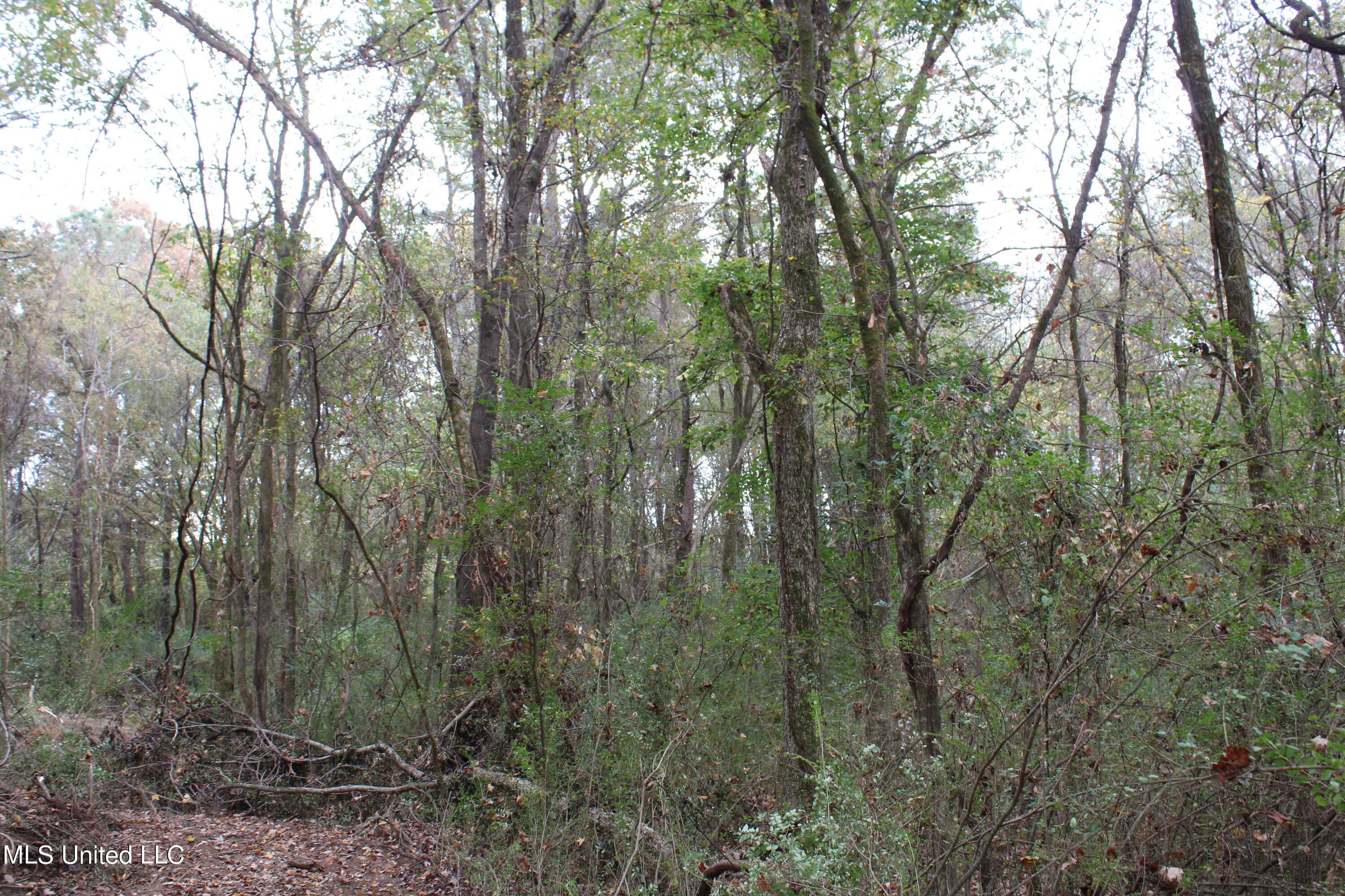 0 Yarbrough Loop Red Banks, MS 38661 - Photo 54 of 58 IMG_2549