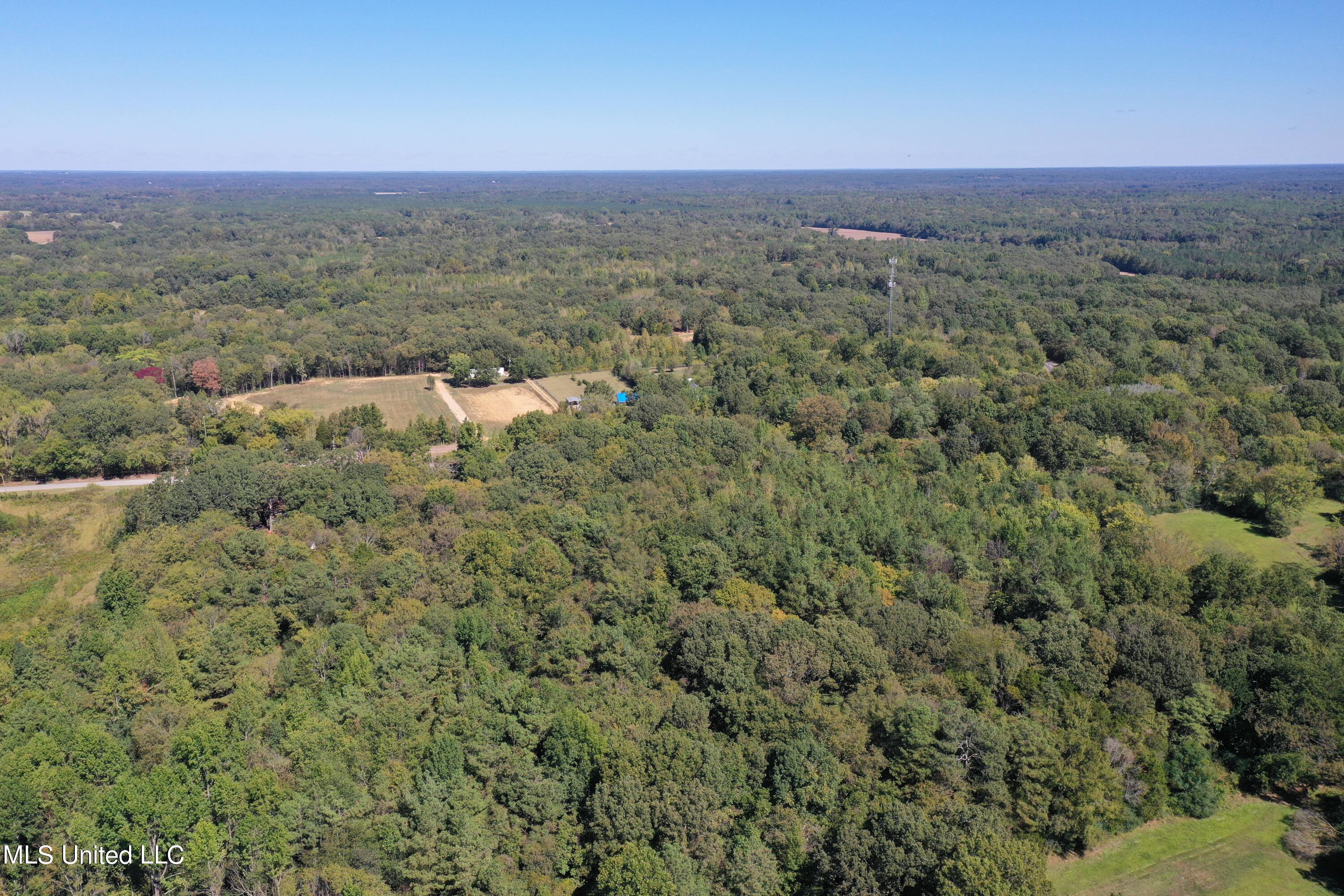 0 Yarbrough Loop Red Banks, MS 38661 - Photo 8 of 58 DJI_0406