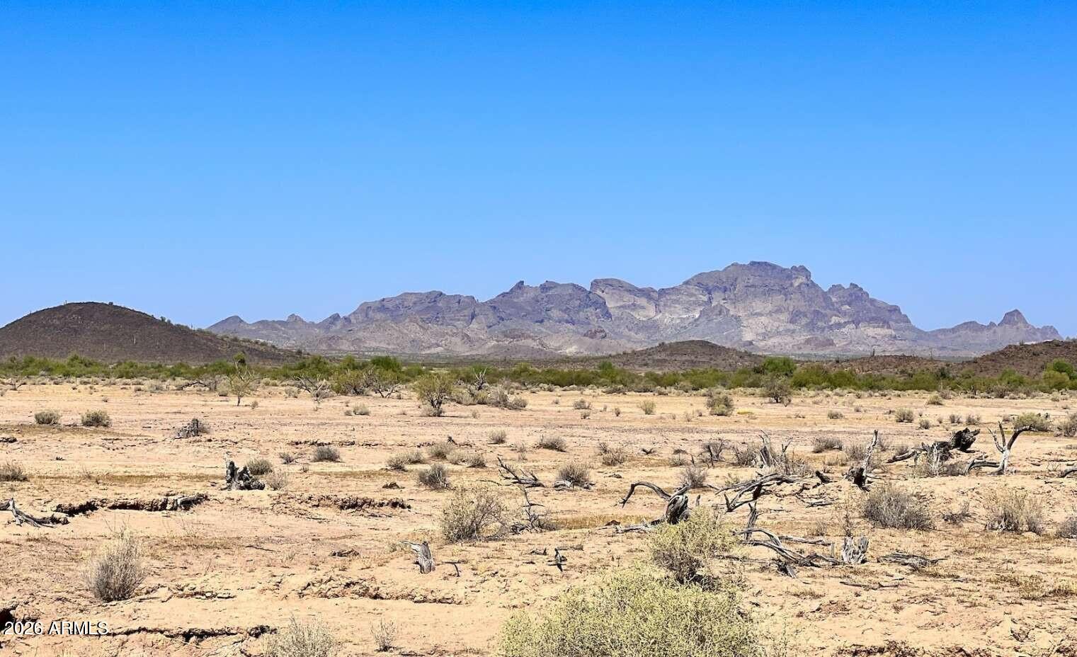 45742 West Narramore Road Tonopah, AZ 85354 - Photo 6 of 15 45742 W Narramore RD