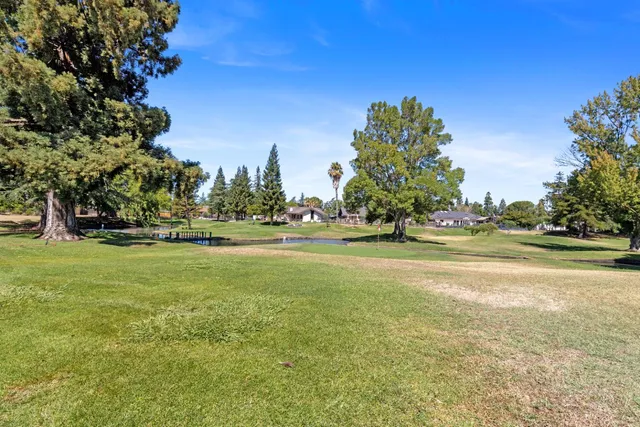 a view of green field