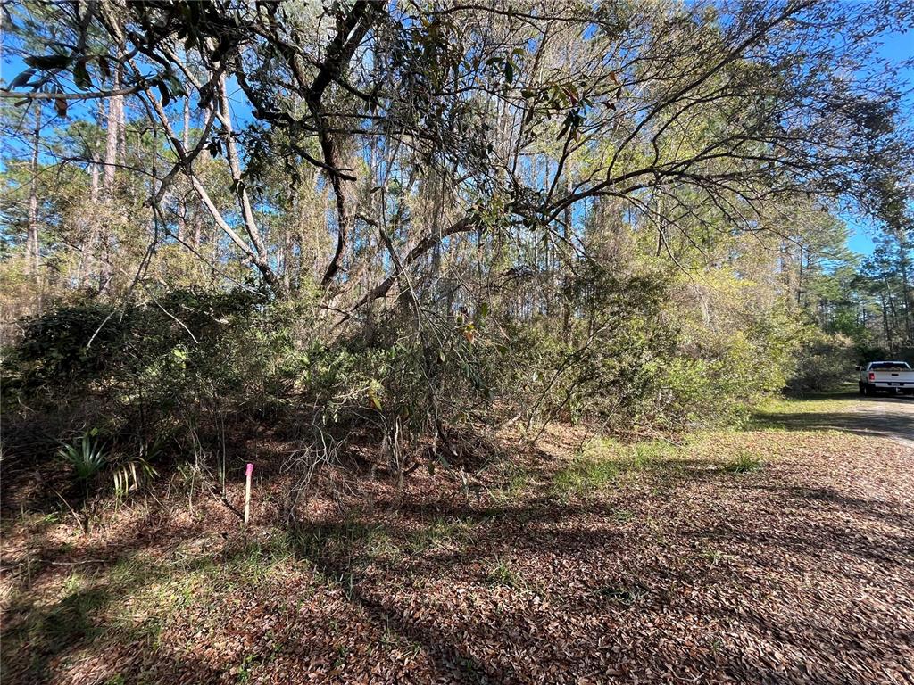 104 5th Street Georgetown, FL 32139 - Photo 3 of 6