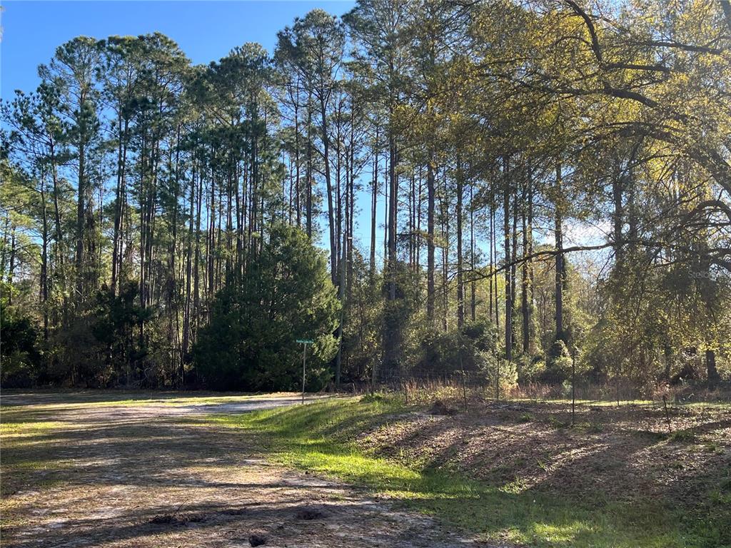 104 5th Street Georgetown, FL 32139 - Photo 6 of 6