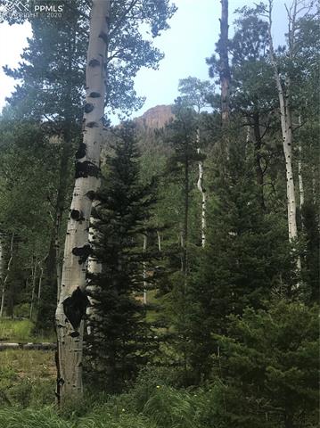 Forest Road Manitou Springs, CO 80829 - Photo 15 of 23 Gallery Image 15