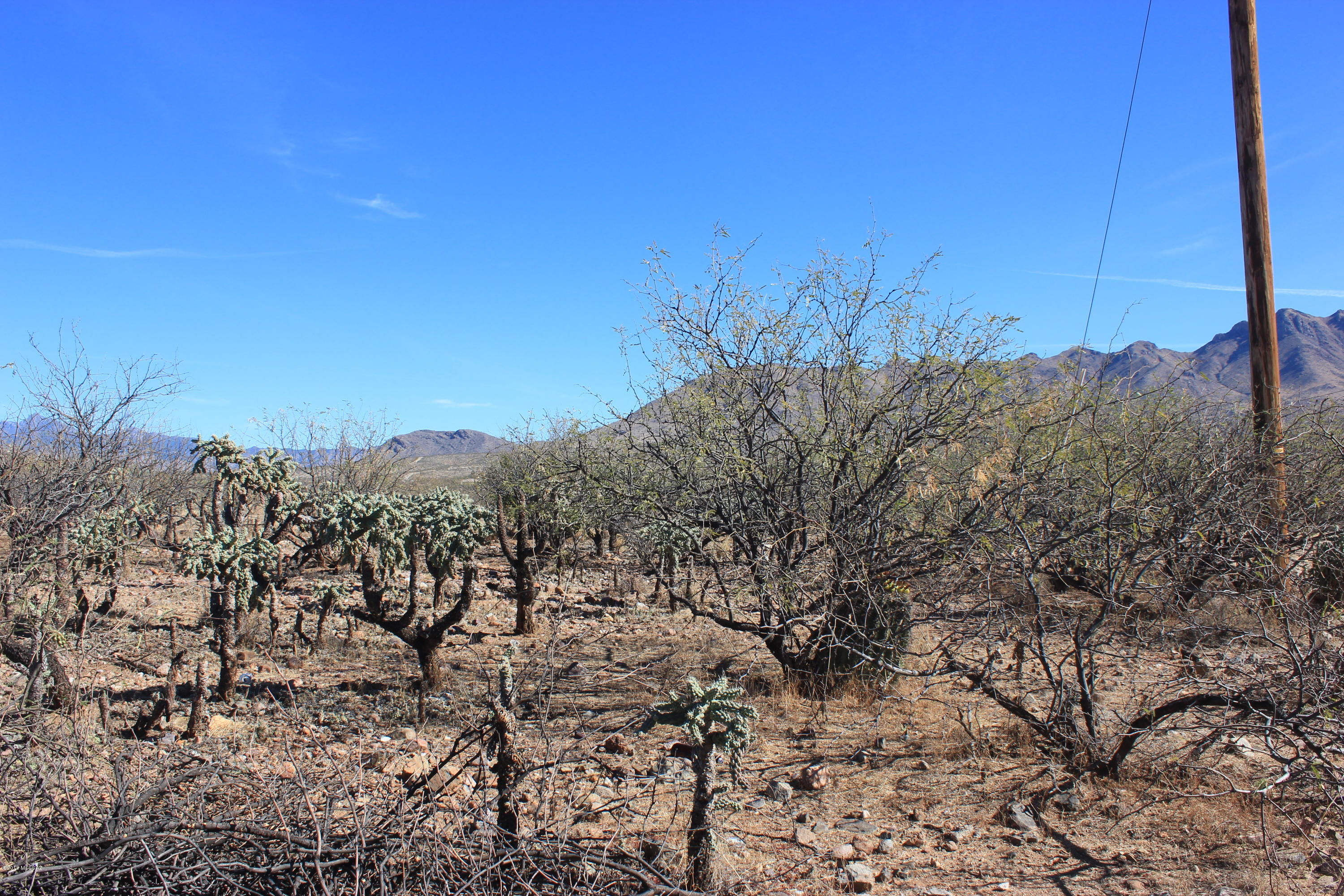 79 Sabio Court, Unit 11 Rio Rico, AZ 85648 - Photo 1 of 1