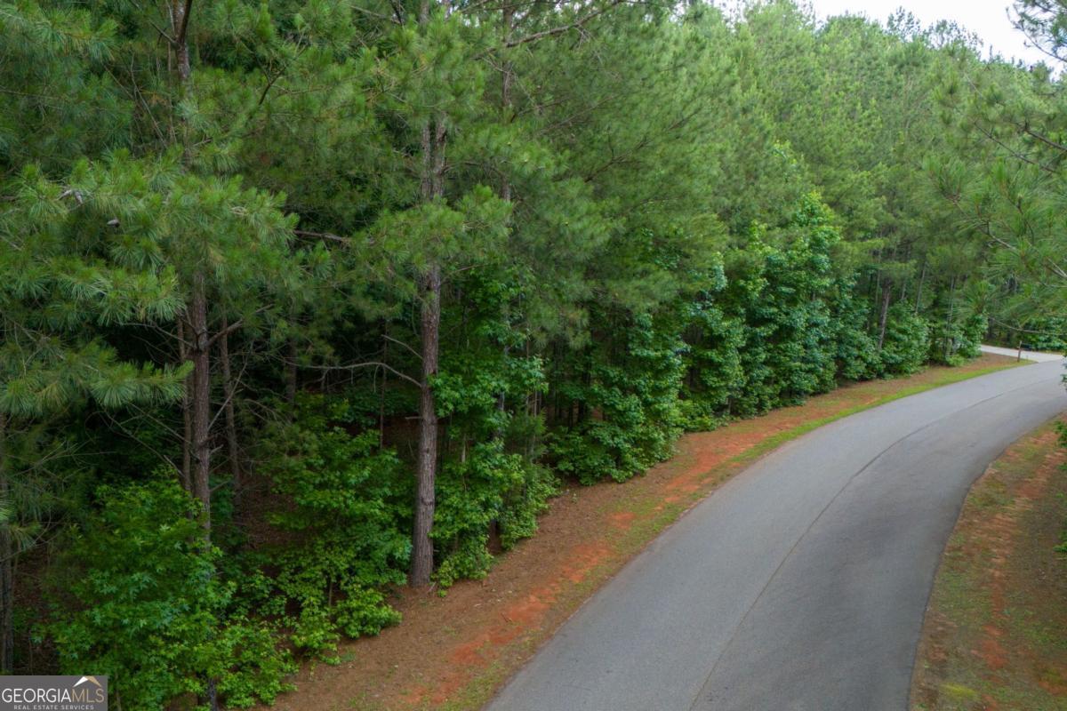 1441 Riverwalk Road Bishop, GA 30621 - Photo 7 of 7