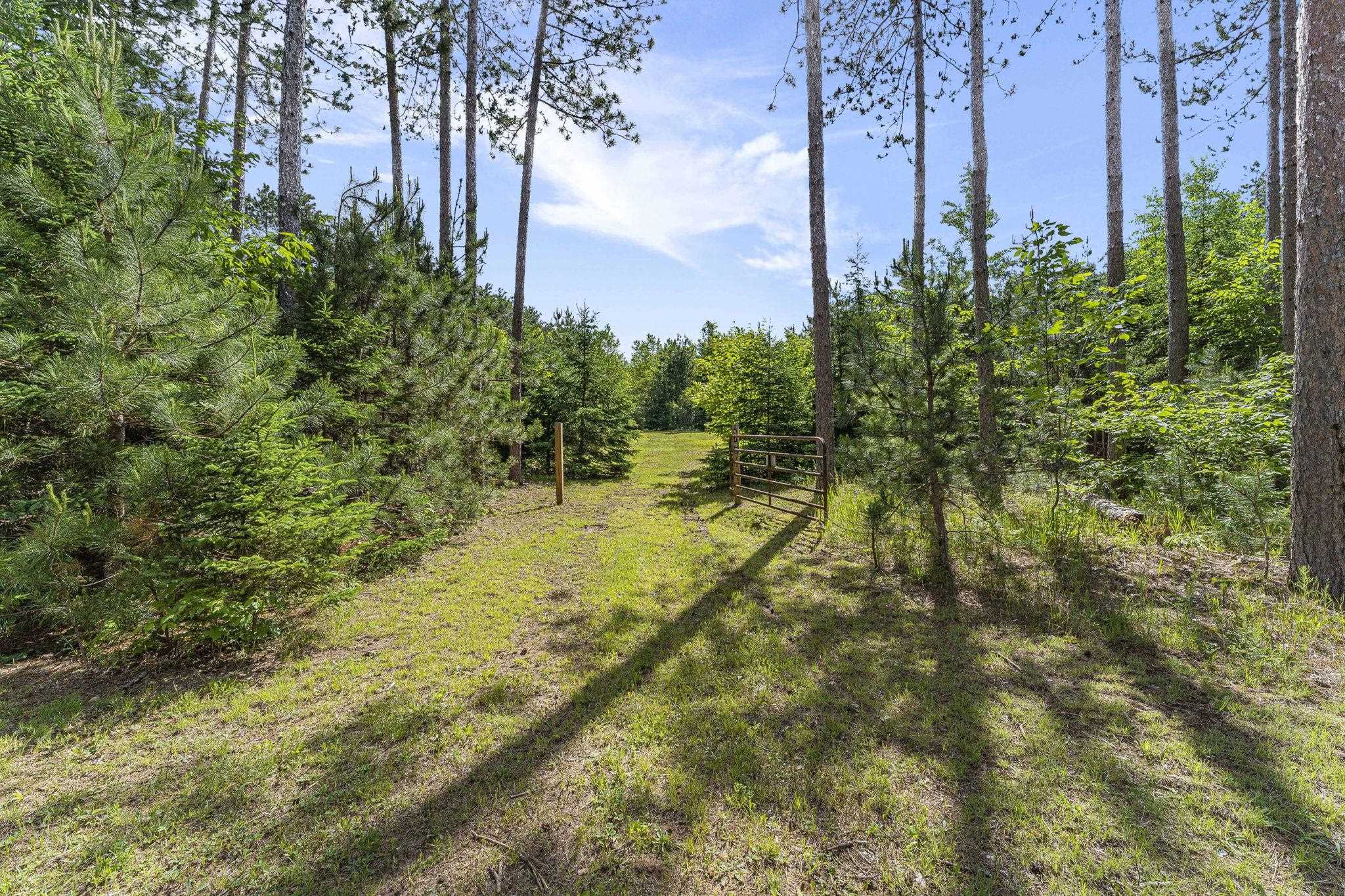 8767 Rustic Lane Southwest Fife Lake, MI 49633 - Photo 5 of 28