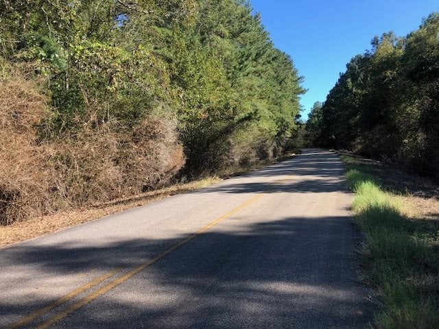 5-ac Lester Bell Road Selma, AL 36701 - Photo 17 of 26 Gallery Image 17