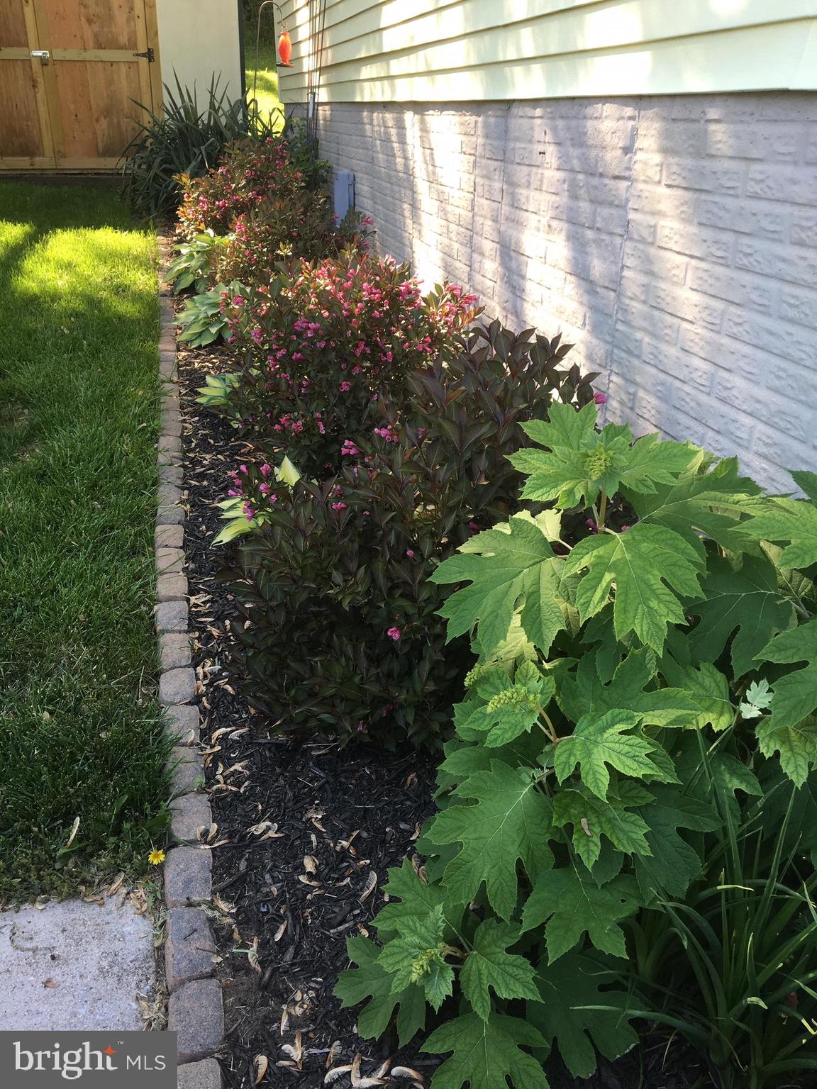330 Royer Road Westminster, MD 21158 - Photo 48 of 57 2018 Summer, beautiful perennials