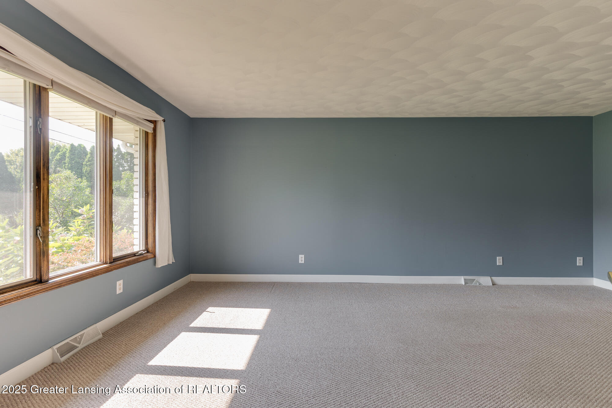 650 North Waverly Road Dimondale, MI 48821 - Photo 6 of 46 650_Waverly_PAULA-31