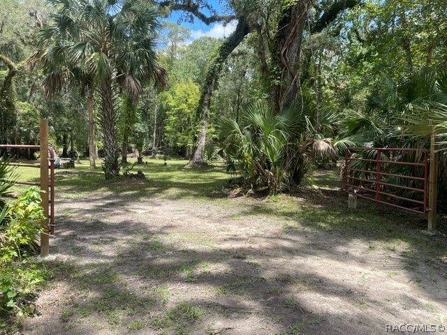 6409 East River Road Hernando, FL 34442 - Photo 5 of 50 Gallery Image 5