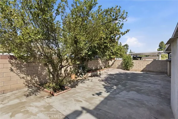 a view of a yard with plants and trees