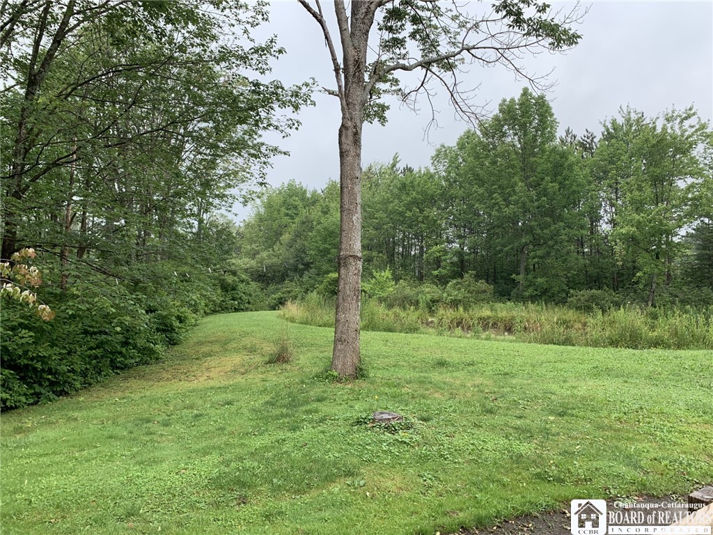 4435 Cobb Road Gerry, NY 14740 - Photo 29 of 34