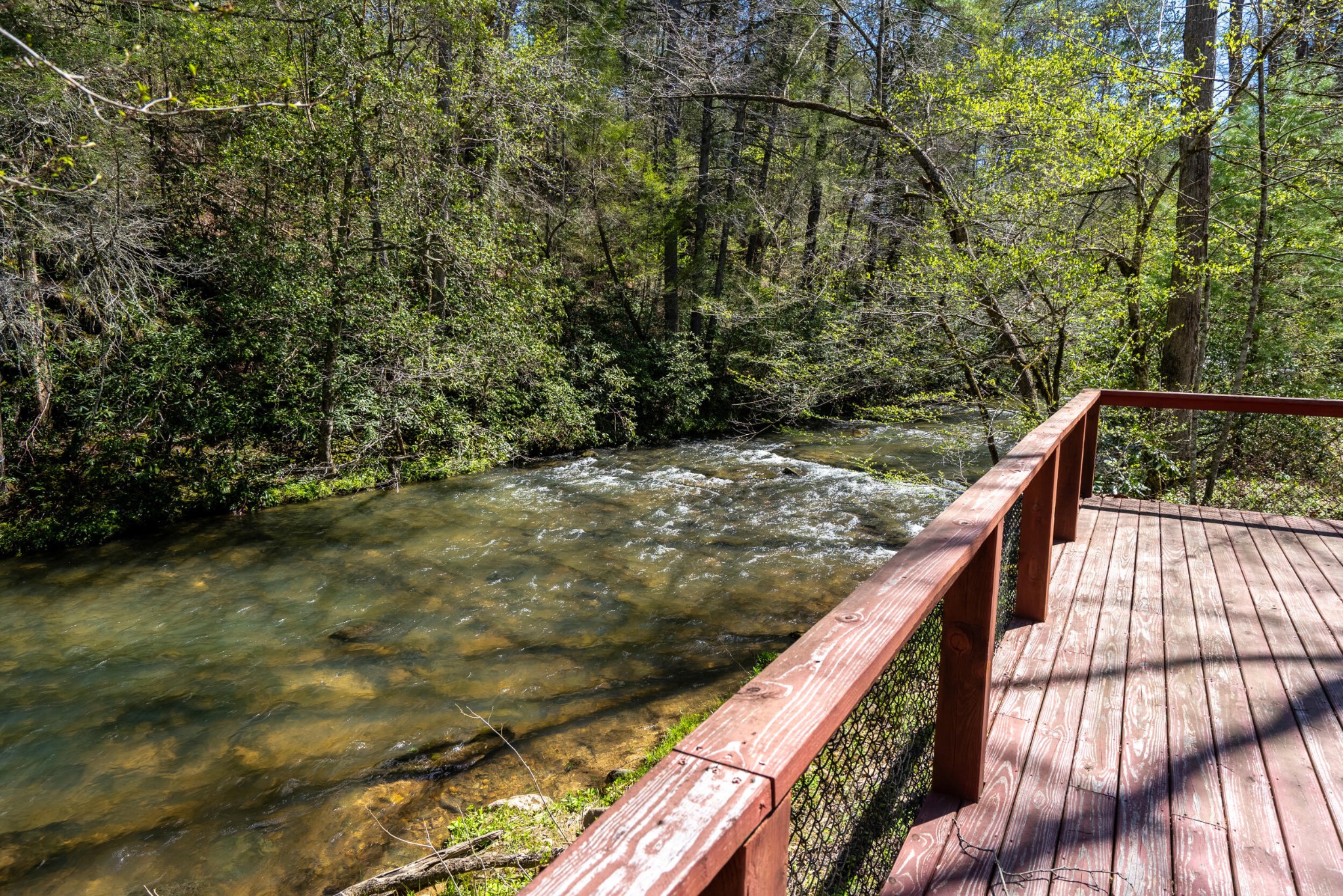 1487 Spring Creek Road Reliance, TN 37369 - Photo 6 of 55 Gallery Image 6