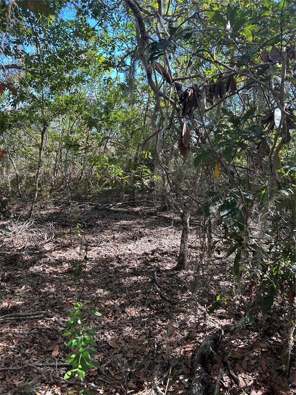 7740 East Smoke Trail Inverness, FL 34453 - Photo 6 of 8