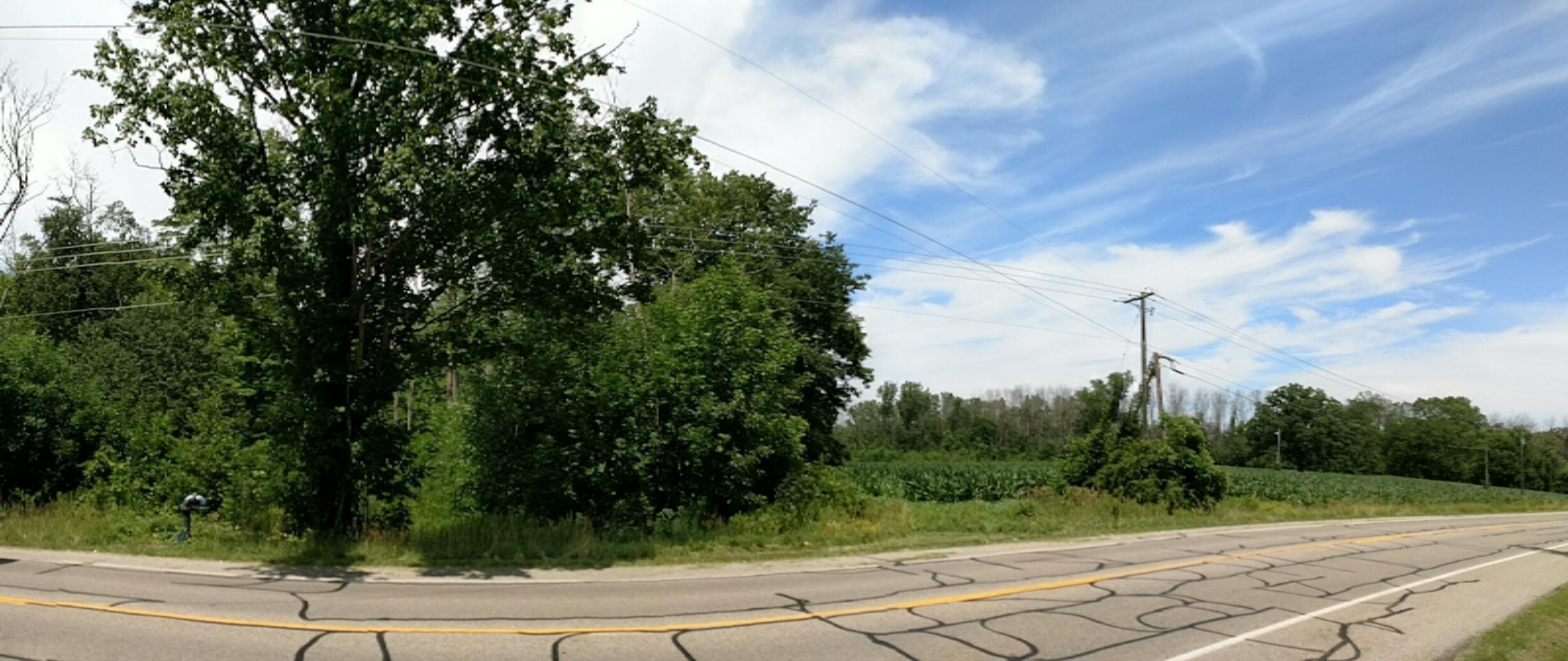 Parcel A Parcel A Fillmore Street Jenison, MI 49428 - Photo 6 of 17 IMG_20170709_143039354
