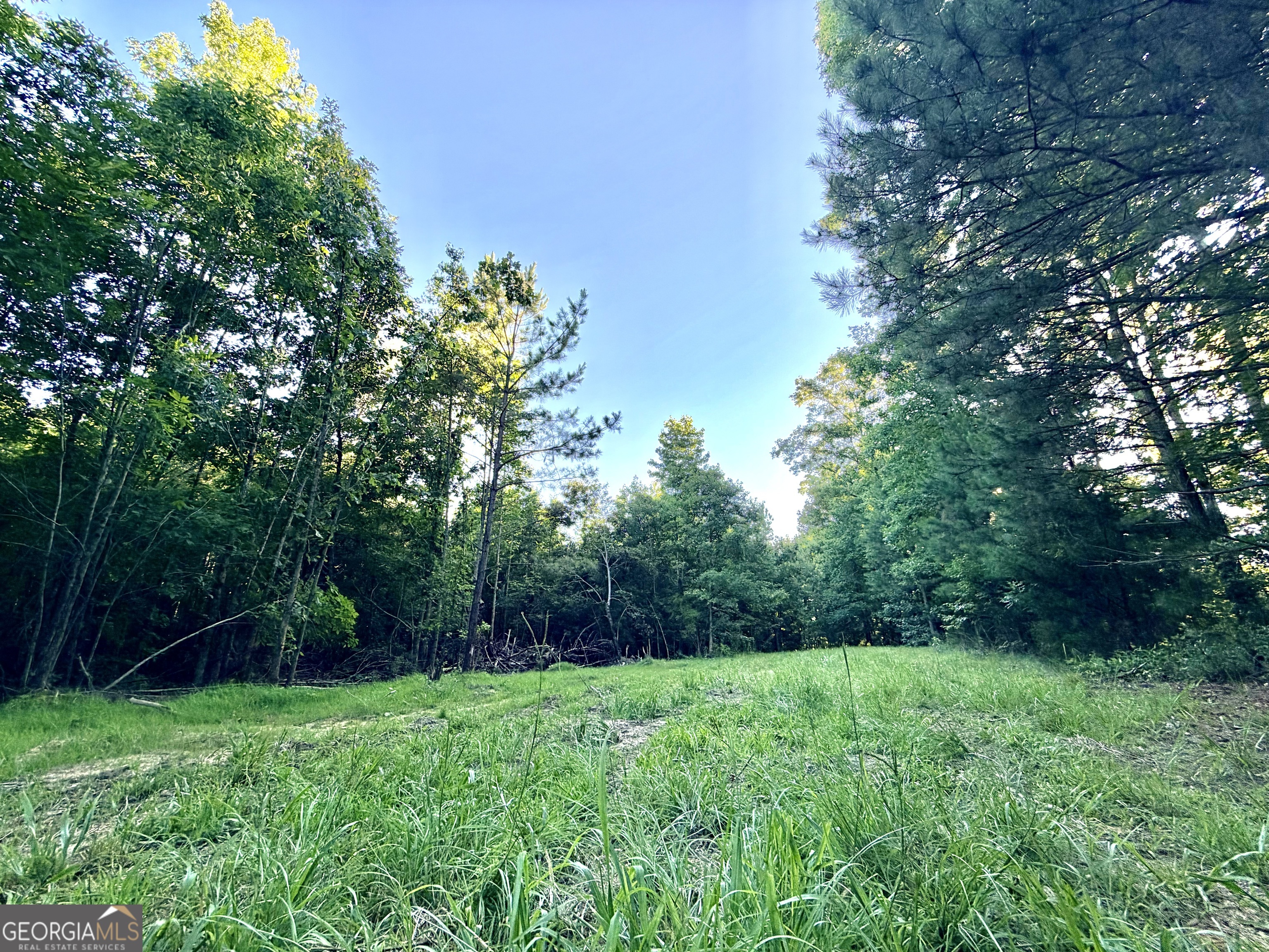 2787 Cedar Creek Road Elberton, GA 30635 - Photo 1 of 92