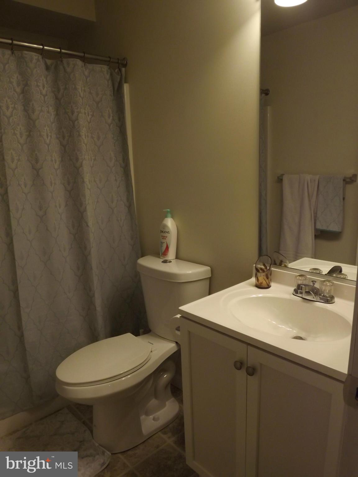 3167 Baybriar Road Baltimore, MD 21222 - Photo 15 of 30 a bathroom with a sink a toilet and shower