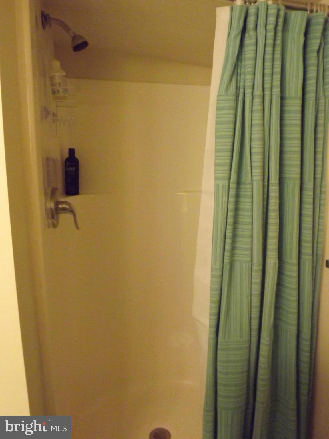 3167 Baybriar Road Baltimore, MD 21222 - Photo 26 of 30 a bathroom with a shower