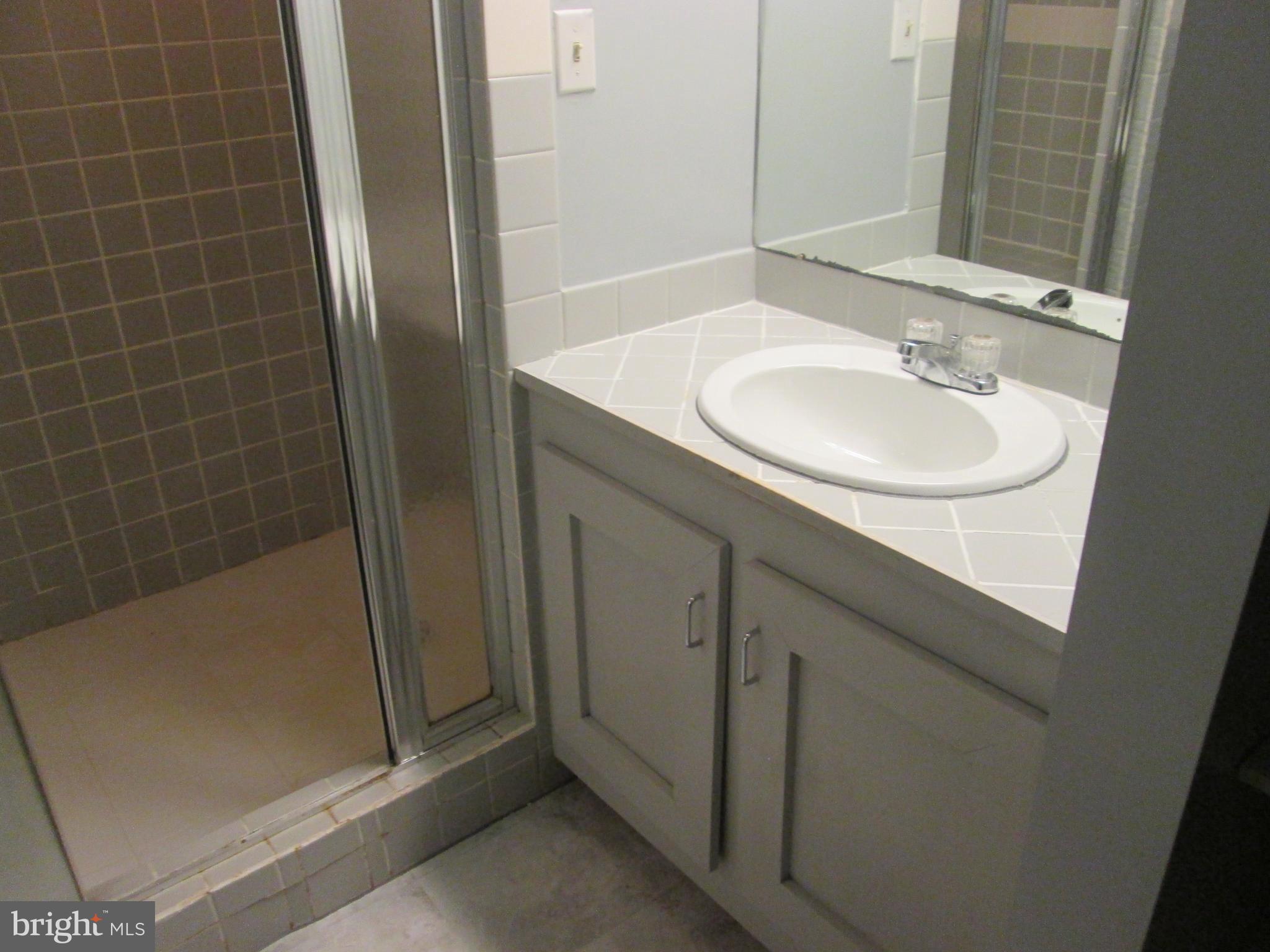 3721 Capulet Terrace, Unit 47 Silver Spring, MD 20906 - Photo 12 of 30 Basement Master Bath is Gorgeous