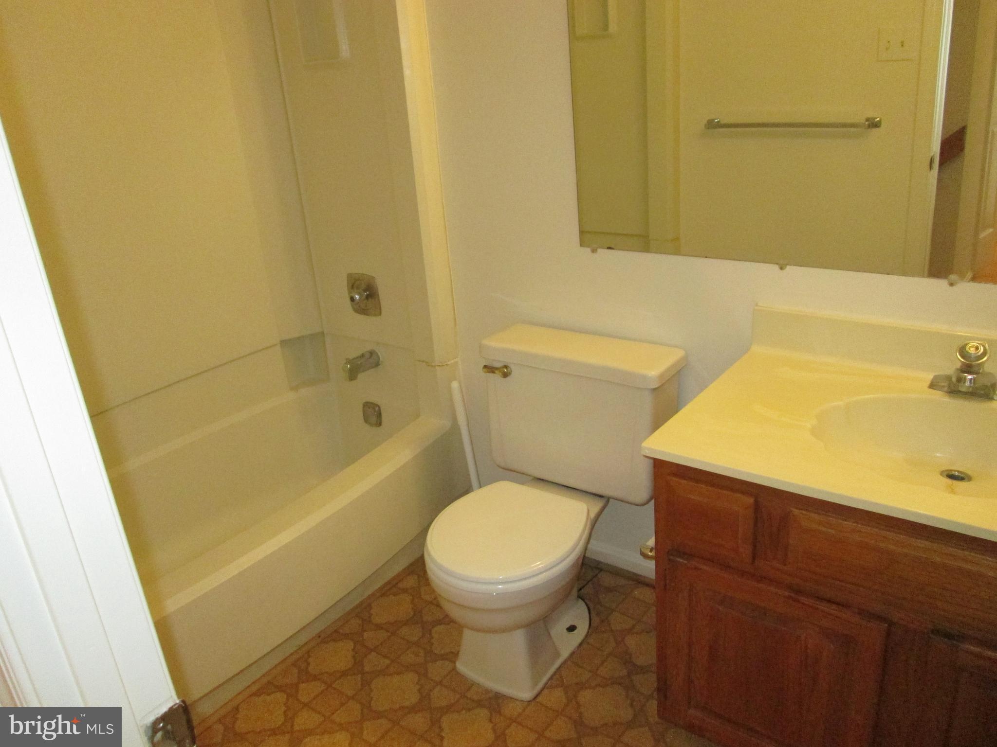 3721 Capulet Terrace, Unit 47 Silver Spring, MD 20906 - Photo 18 of 30 Hall Bathroom