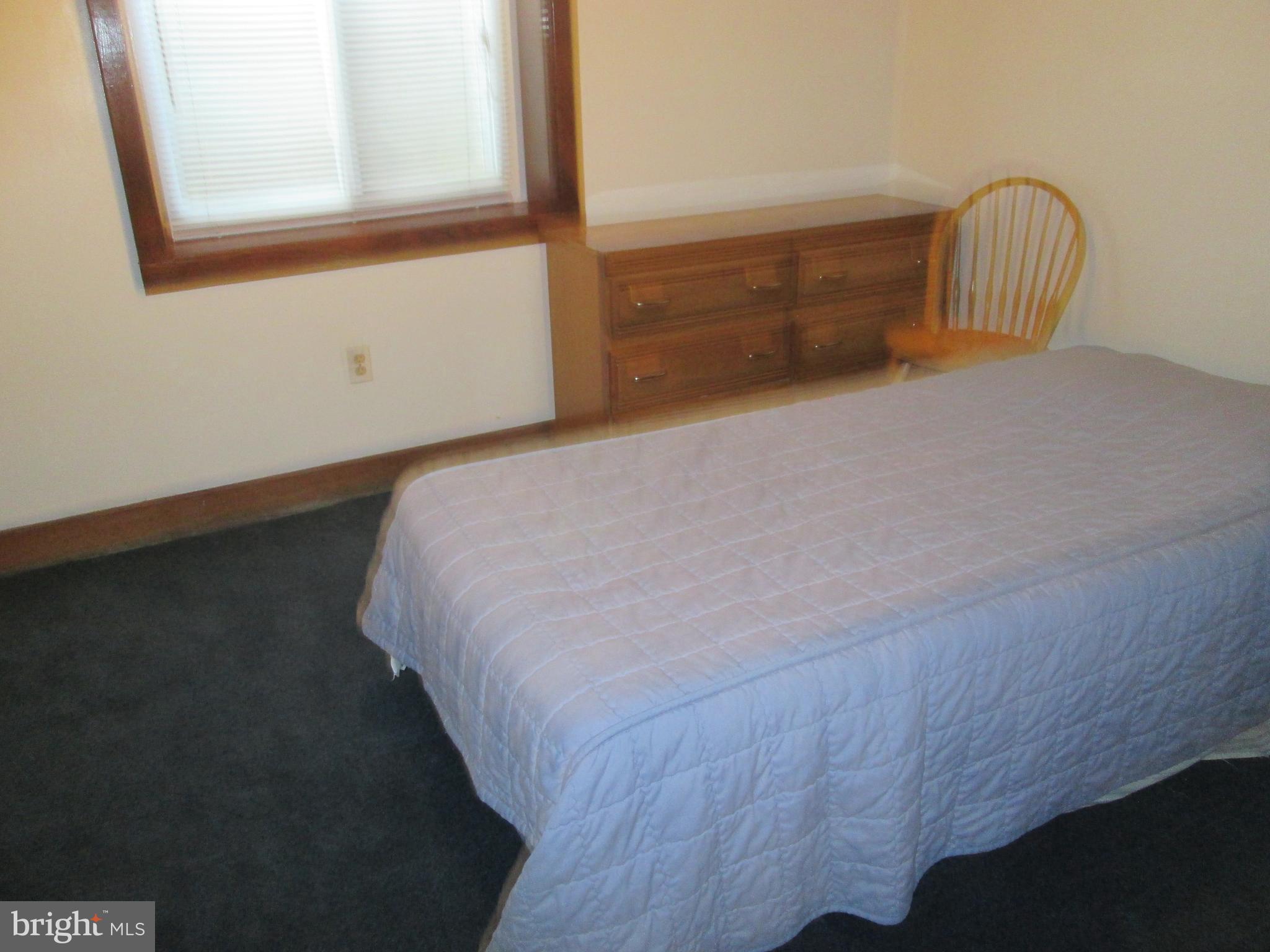 3721 Capulet Terrace, Unit 47 Silver Spring, MD 20906 - Photo 10 of 30 2nd Master Bedroom in Basement