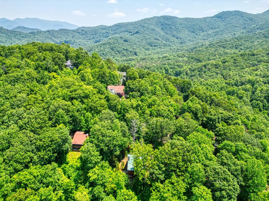 2529 Hunter Road Hiawassee, GA 30546 - Photo 32 of 52