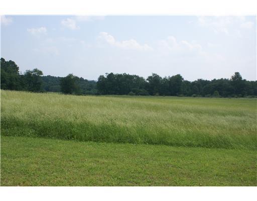 60 Ronda Lane Indiana, PA 15701 - Photo 16 of 17 Land. Southern acreage! Opportunities are unlimited! Ready for a walk, lets go!