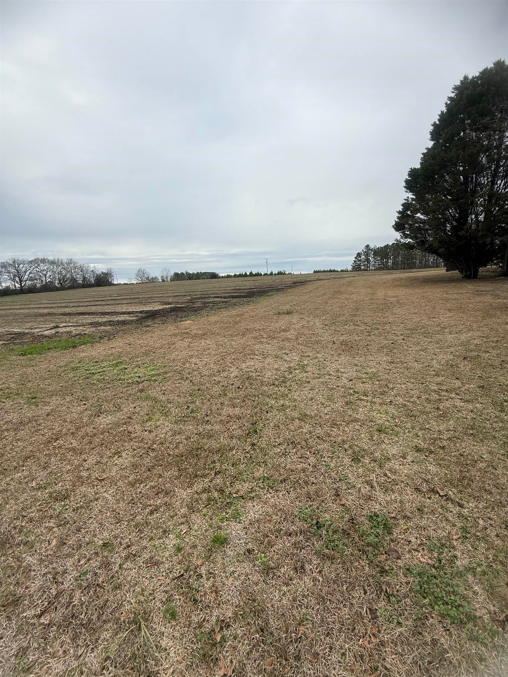 18827 Leon Wiggins Road Andalusia, AL 36420 - Photo 35 of 36 Gallery Image 35