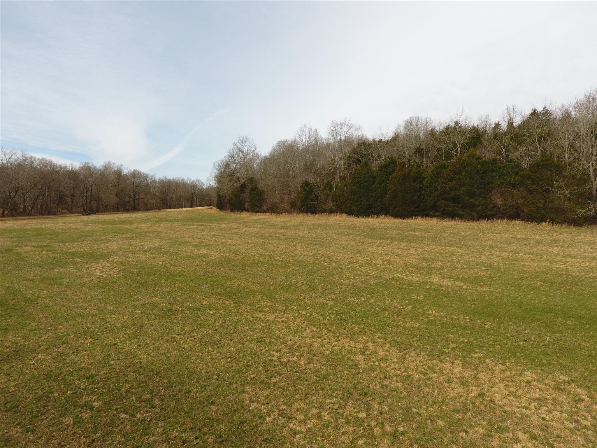 1 Balthrop Branch Road Dickson, TN 37055 - Photo 9 of 10 Gallery Image 9