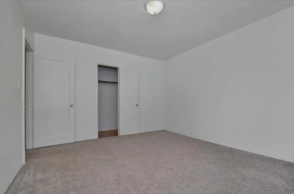 a view of a white house with a large tree