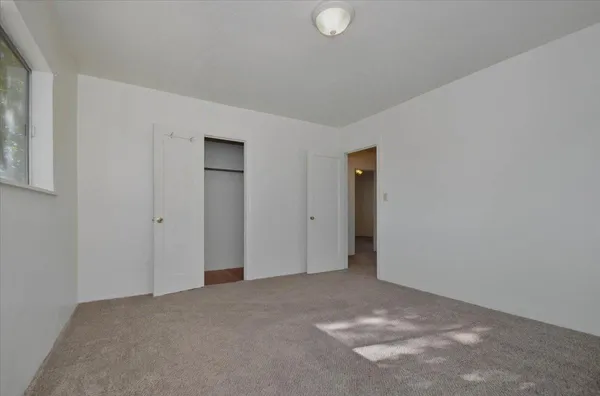 a view of a house with backyard and a tree