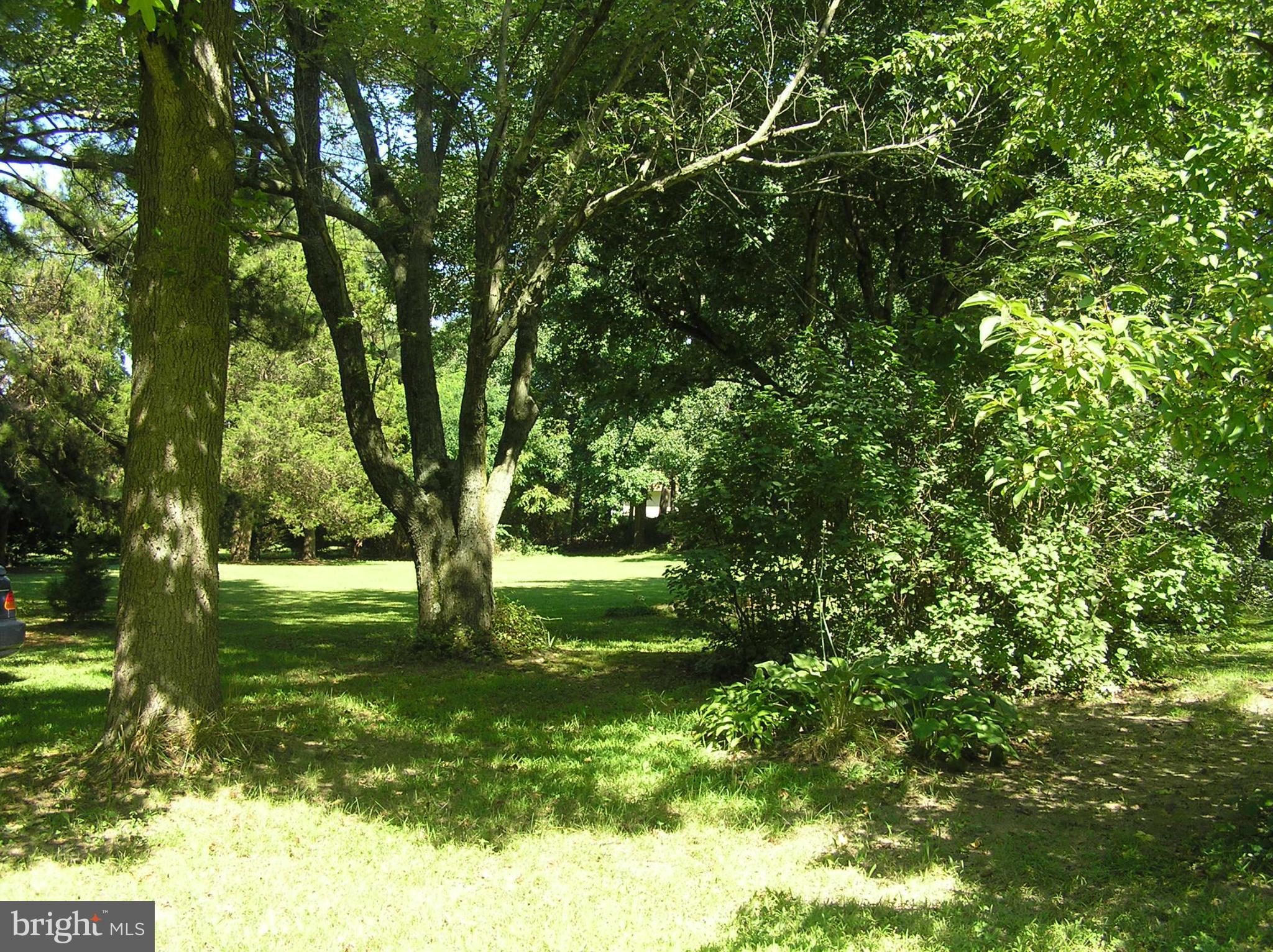 4611 Bethlehem Road Preston, MD 21655 - Photo 14 of 26 a view of backyard with green space