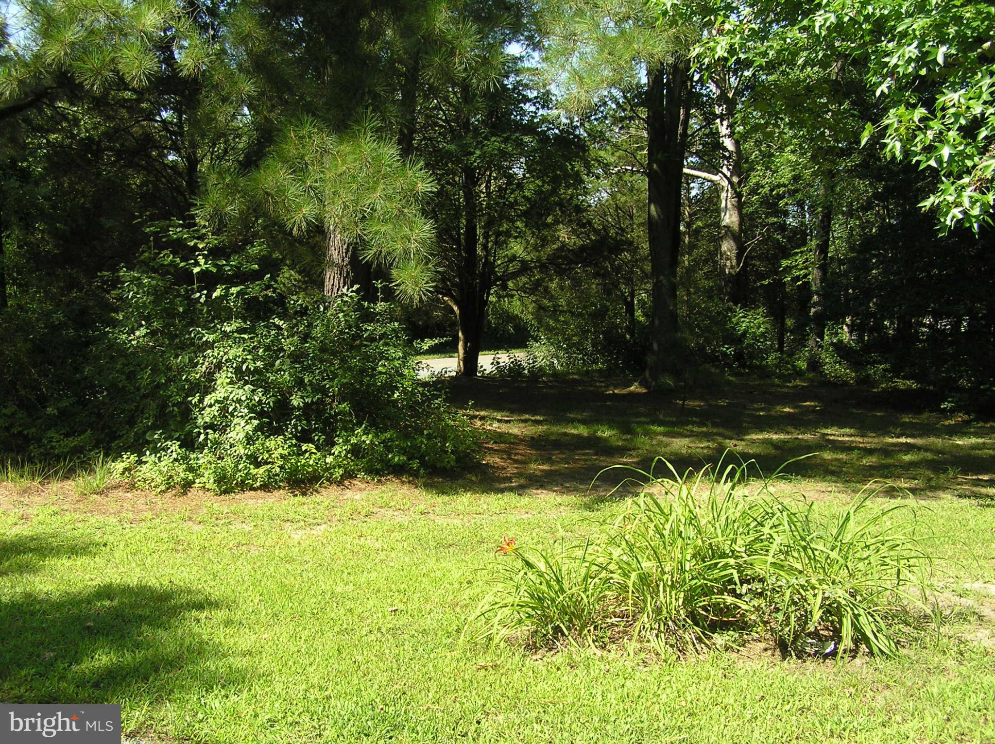 4611 Bethlehem Road Preston, MD 21655 - Photo 15 of 26 a view of a yard with large trees