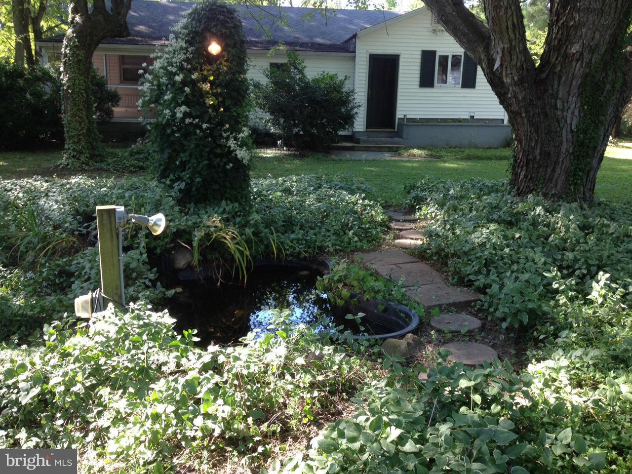4611 Bethlehem Road Preston, MD 21655 - Photo 6 of 26 a view of a garden with large trees