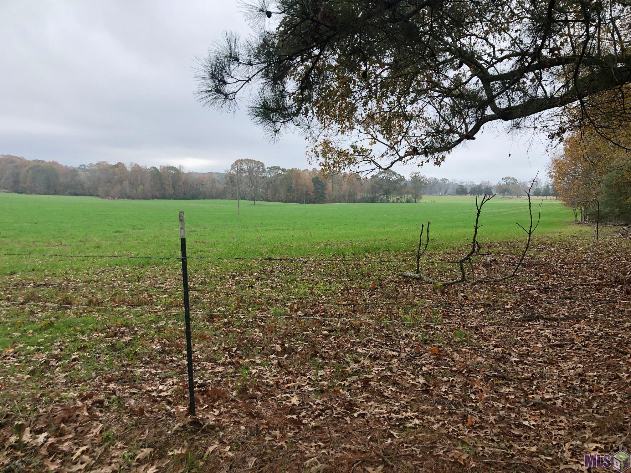 0 Jackson Louisiana Road Woodville, MS 39669 - Photo 2 of 2