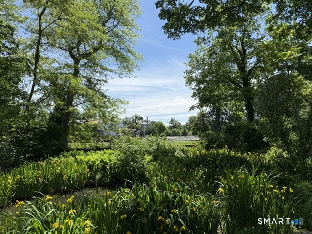 31 Harbor Road Darien, CT 06820 - Photo 2 of 15