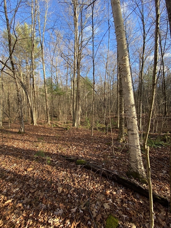Lot B Brimfield Road Monson, MA 01057 - Photo 4 of 7 a view of backyard space