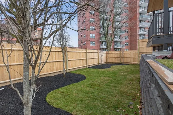 a view of backyard with large tree