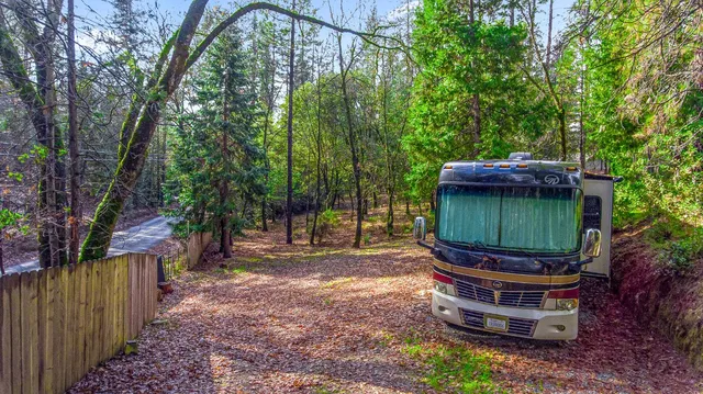 a view of a backyard with plants and trees